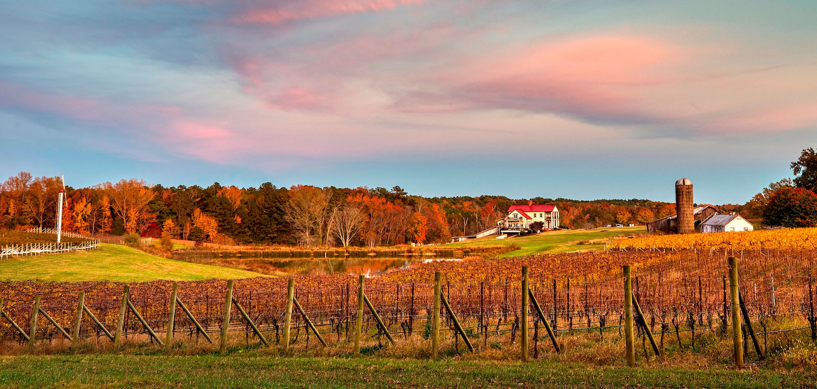 Virginia Wines – New world savoir-faire