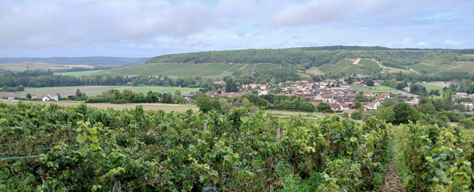 Women’s Jazz and Chassenay d’Arce Champagnes – The Art of the Moment