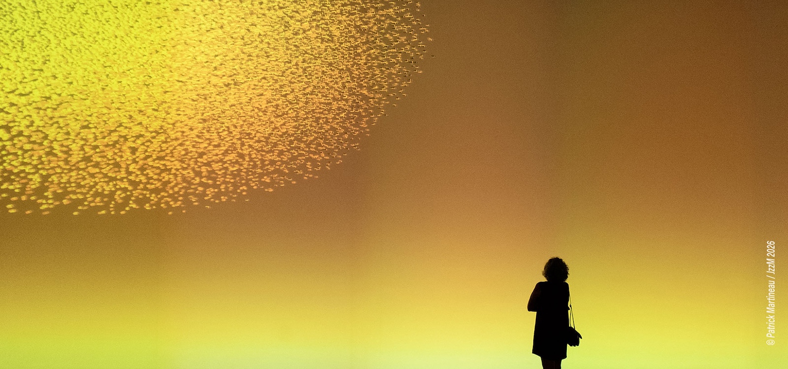 Generative Artificial Intelligence… sheer idiocy