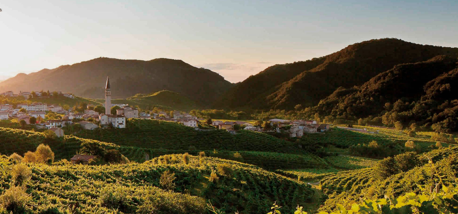 There is Prosecco and… Asolo Prosecco